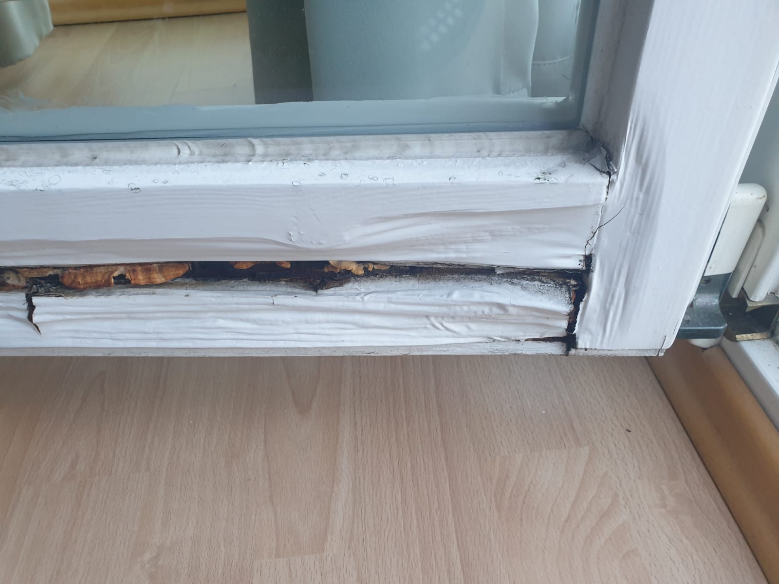 Fenster Reparatur Schadensaufnahme