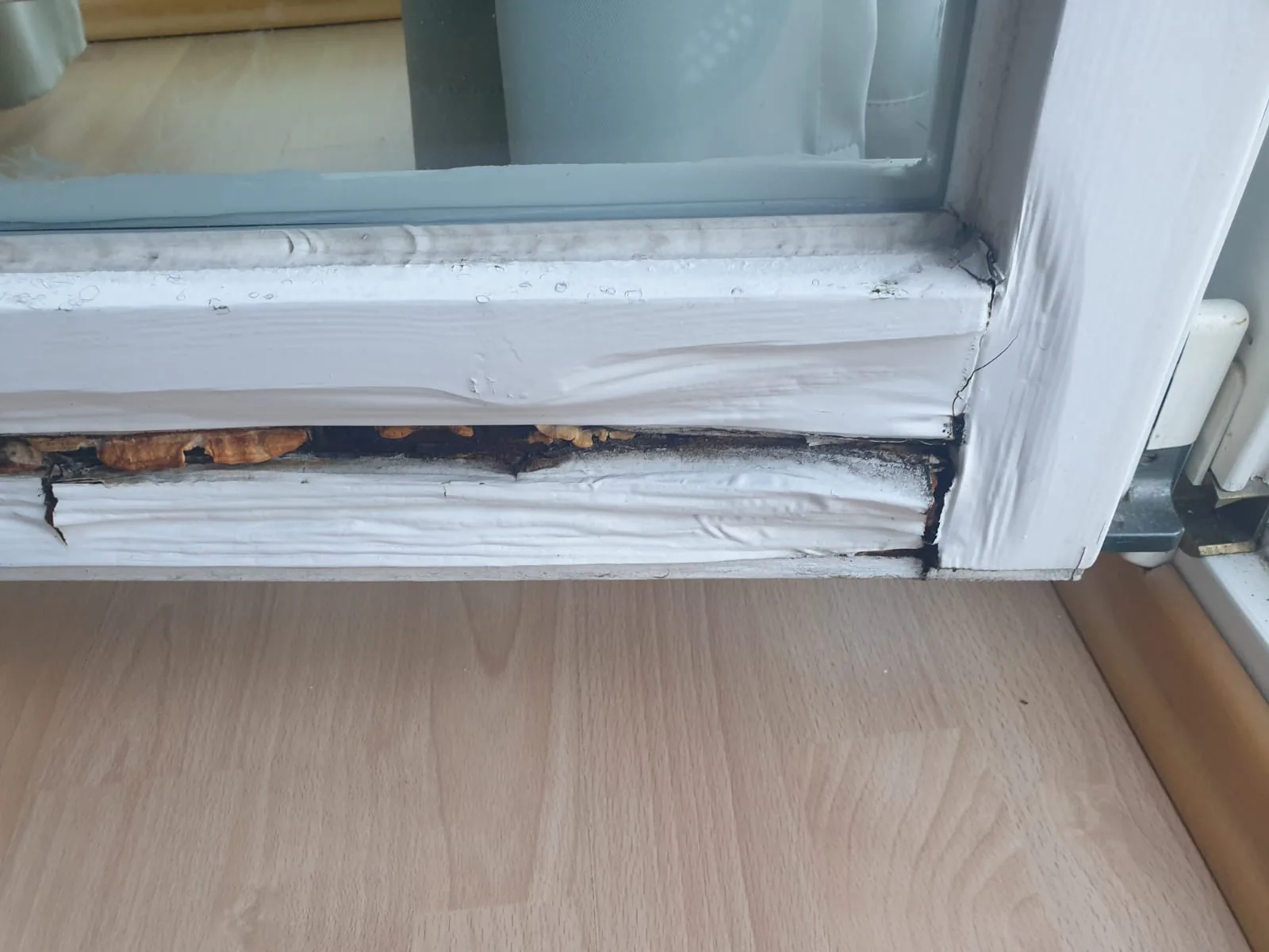 Fenster Reparatur Schadensaufnahme